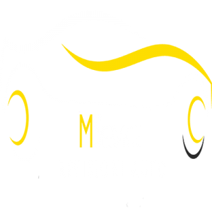 icona revisioni auto