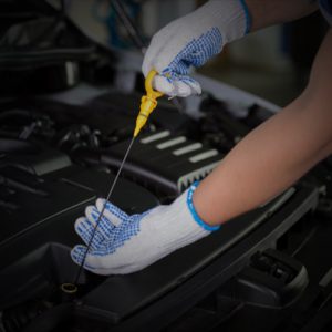 revisioni auto San Potito